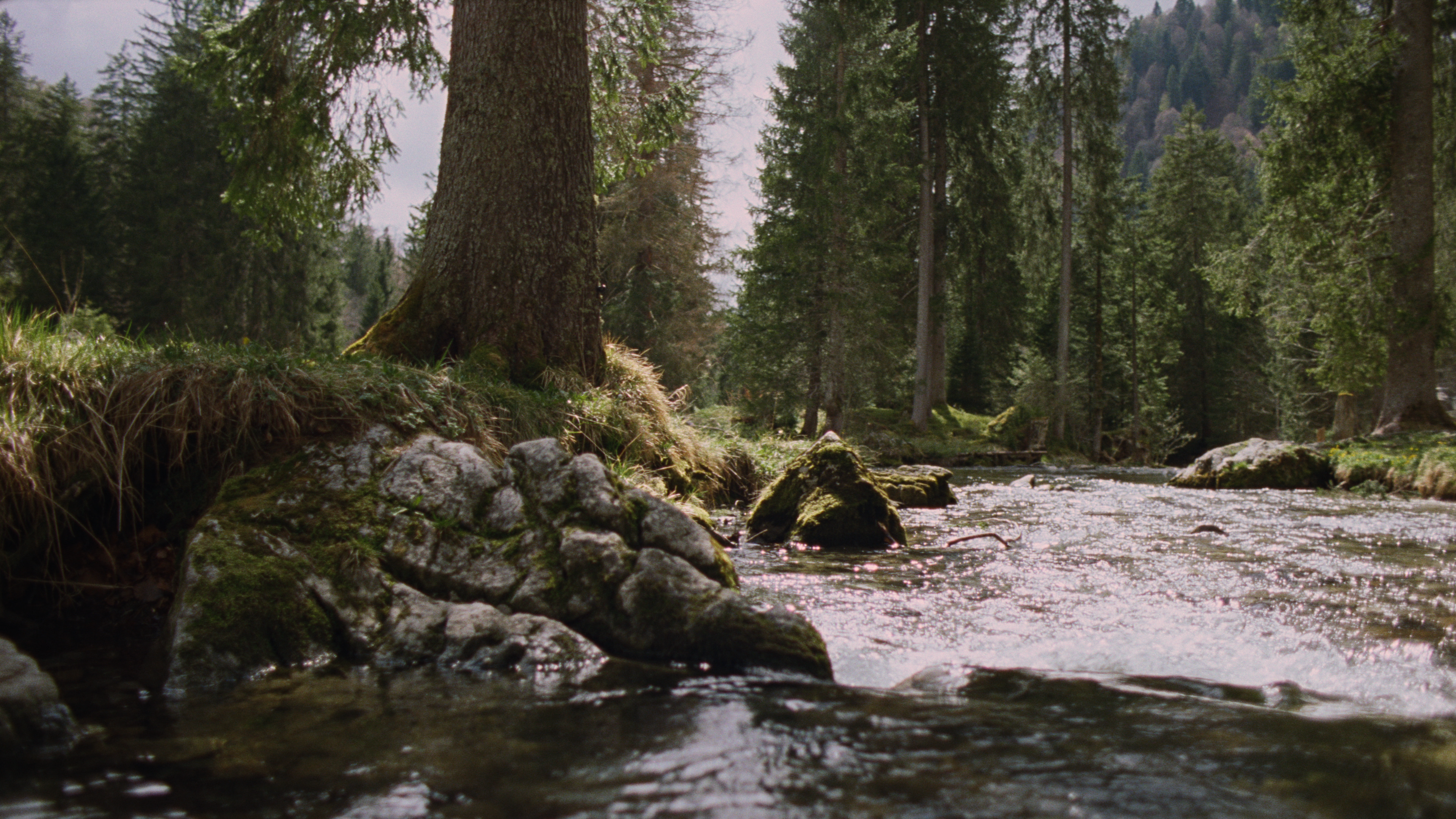 Alpine Valley